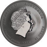 2016 1/2oz Silver Year of the Monkey Coin