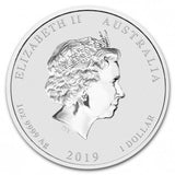 2019 1oz Silver Year of  the Pig Coin