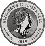 2020 Double Pixiu 1oz Silver Coin