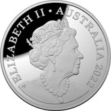 2022 $5 Silver Coloured Proof Domed Coin – Beauty, Rich & Rare – Great Daintree Rainforest
