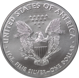 USA 2021 1oz Silver Eagle Type I