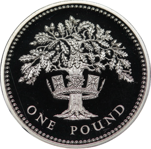 GB 1987 One Pound Piedfort Silver Coin