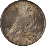 USA 1923 Peace Dollar VF