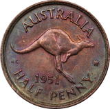 1951 Halfpenny VF