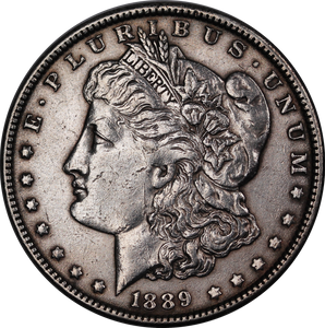 USA 1889 Silver Dollar Cleaned