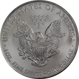 USA 2010 1oz Silver Eagle Coin