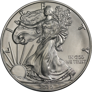 USA 2020 1oz Silver Eagle Coin