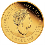 2023 Mini Roo 0.5g Gold Proof Coin in Card