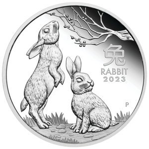 Lunar Series III 2023 Year of the Rabbit 1oz Silver Proof Coin