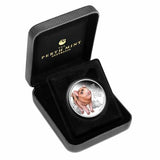 2019 Year of the Pig Baby 1/2oz Silver Proof Coin